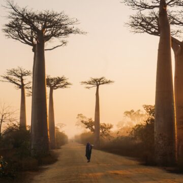 Przewodnik dla turystów Madagaskar