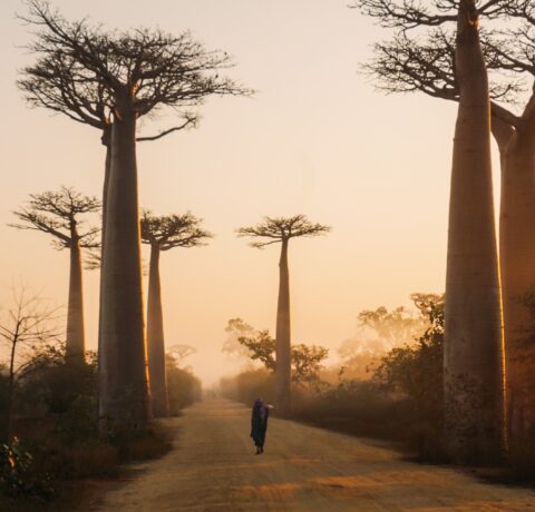 Przewodnik dla turystów Madagaskar