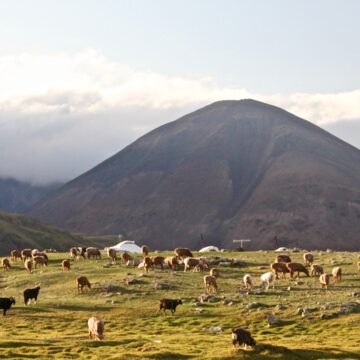 Przewodnik dla turystów Mongolia