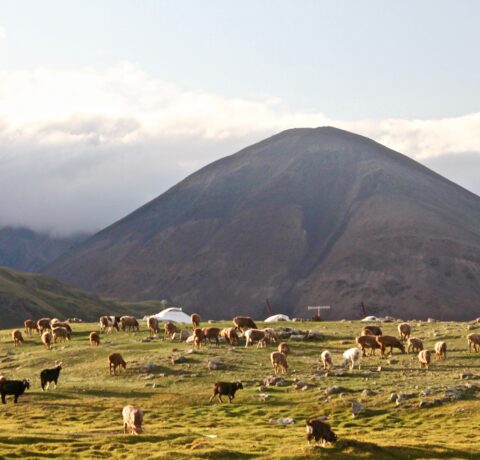 Przewodnik dla turystów Mongolia