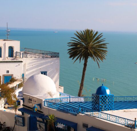 Przewodnik dla turystów Tunezja